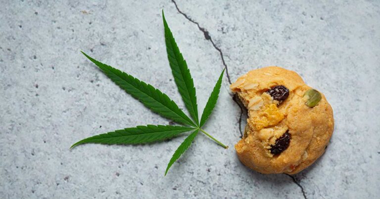 What Are Edibles and How Long Do They Stay in Your System?